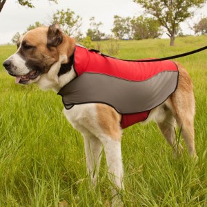 Нейлоновая накидка шлея для алабая среднеазиатской овчарки «Raincoat Cape»